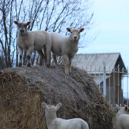 De La Croix Du Maupas