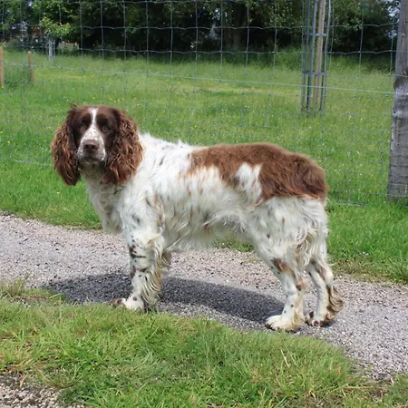 Bed and Breakfast De La Croix Du Maupas *