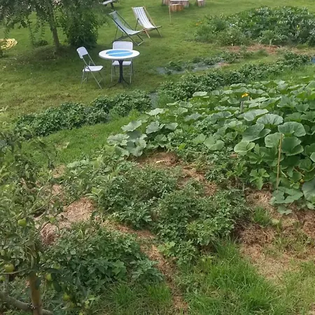 Bed and Breakfast De La Croix Du Maupas *