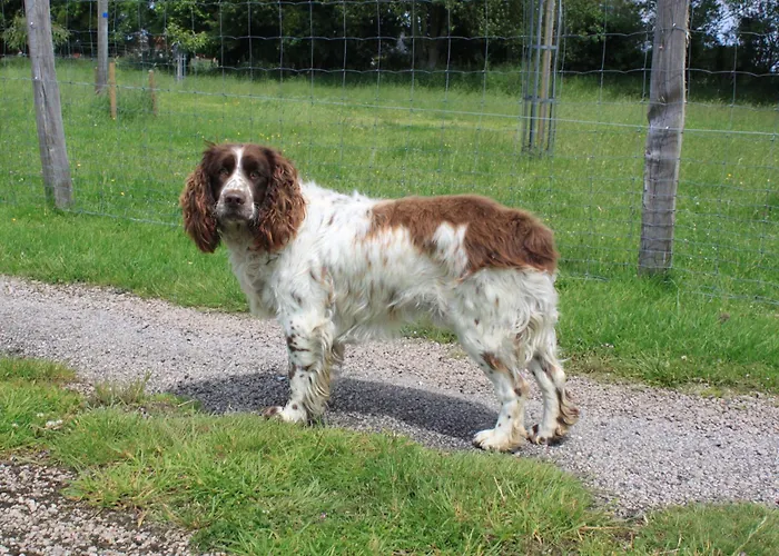 Bed & Breakfast De La Croix Du Maupas *